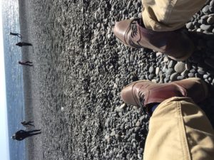 Black Beaches of Vik