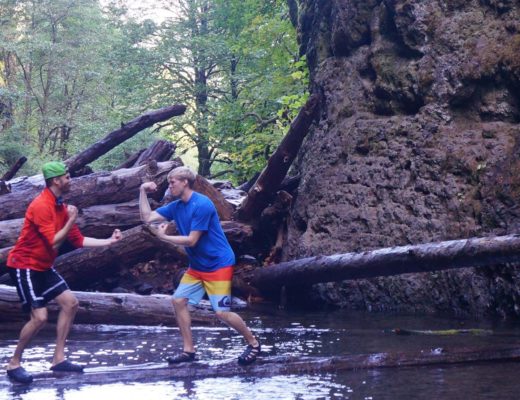 Siblings Log-Fighting